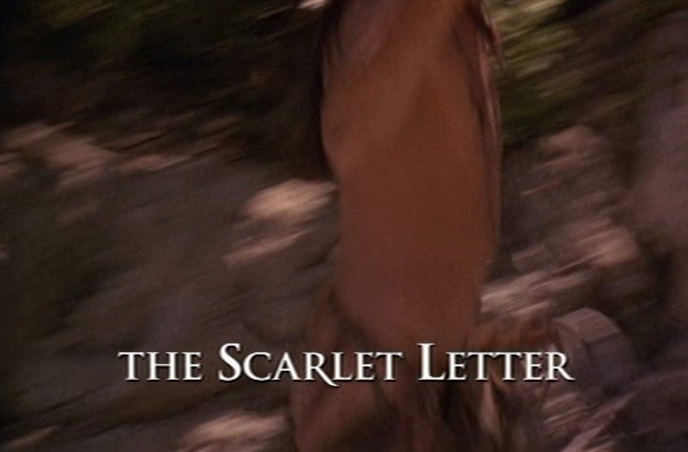 "The Scarlet Letter" Teaching Board