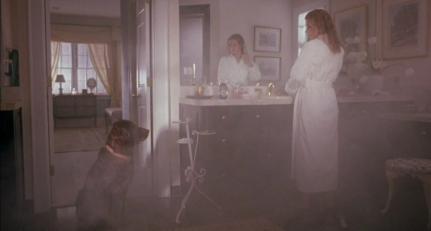 "Fluke" Carol Johnson's (Nancy Travis) Robe