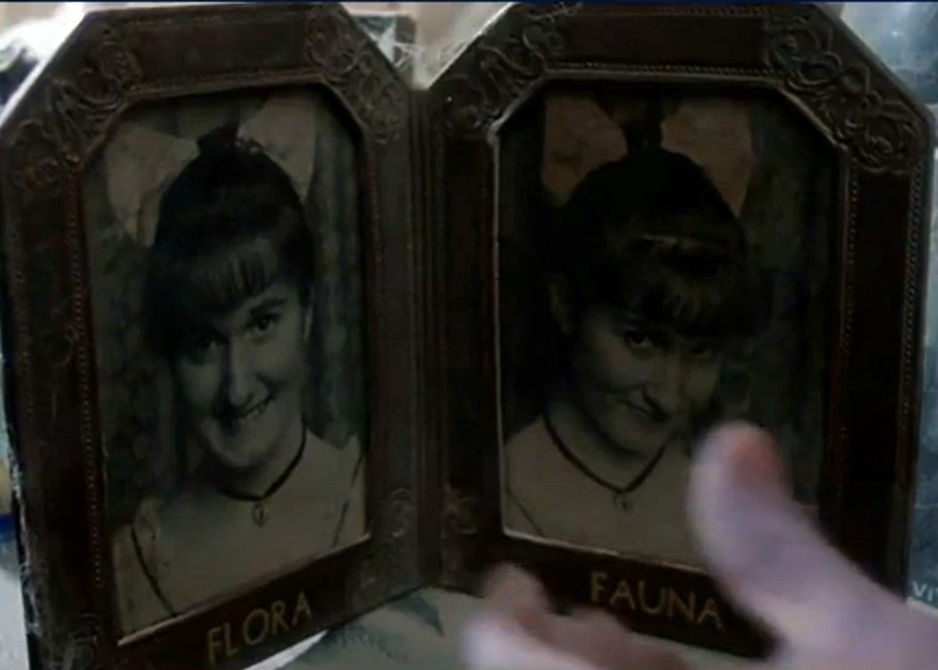 "The Addams Family" (1991) Framed Photographs of Flora and Fauna