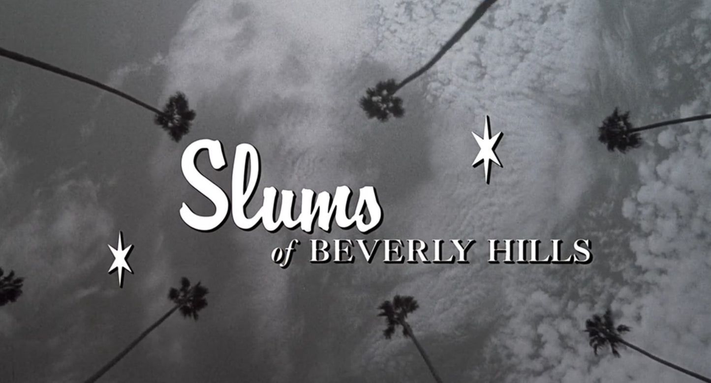 "Slums of Beverly Hills" Vivian's (Natasha Lyonne) Brassiere