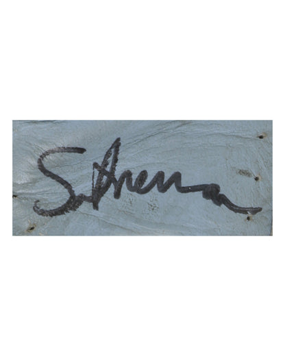 Sarah Silverman's Autographed Nike Shoes