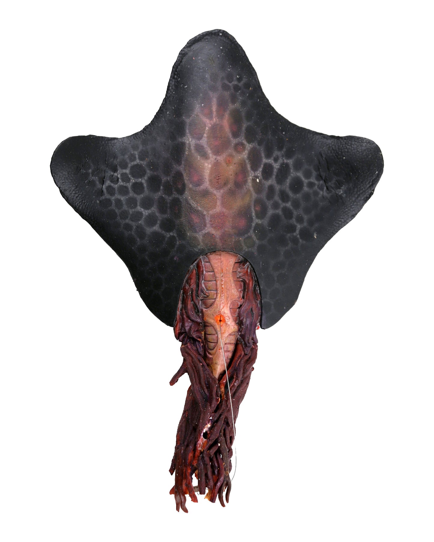 "The Puppet Masters" Alien Slug