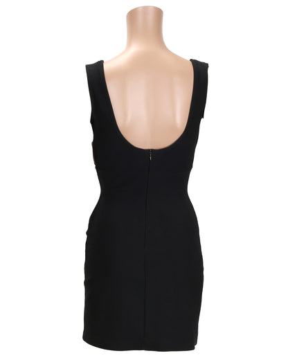 "Sprung" Brandy's (Tisha Campbell) Dress