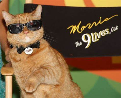 "9 Lives" Morris the Cat's Food Bowl