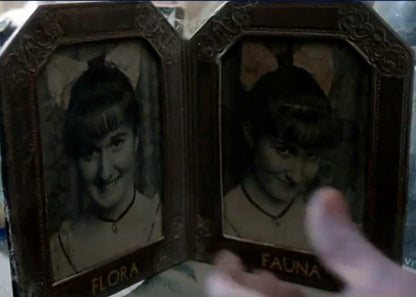 "The Addams Family" (1991) Framed Photographs of Flora and Fauna