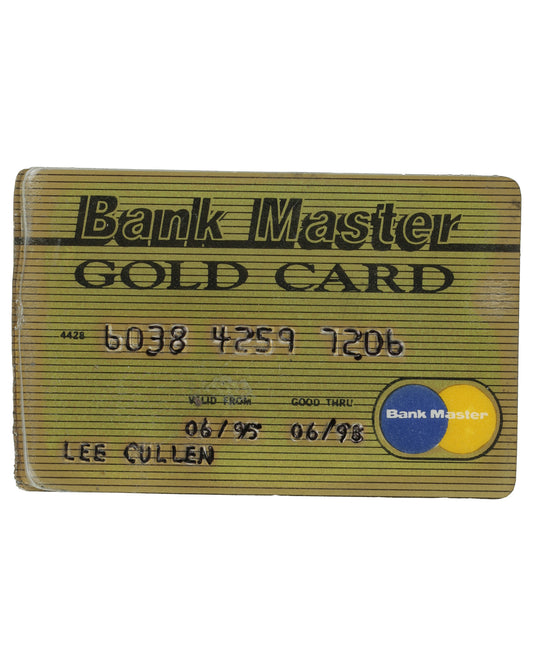 "Eraser" Set of 18 Production-Made Lee Cullen (Vanessa Williams) Credit Cards, Identification Cards, and Photographs