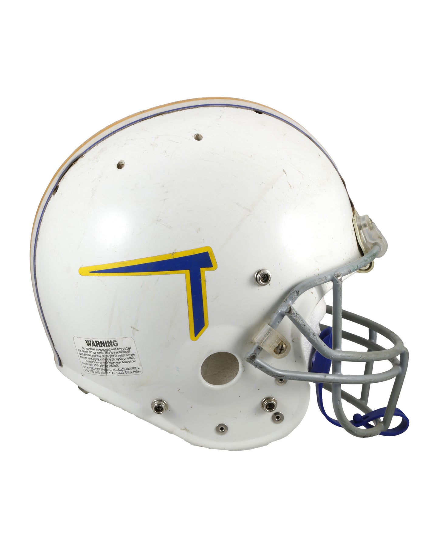 "Air Bud: Golden Receiver" Football Helmet