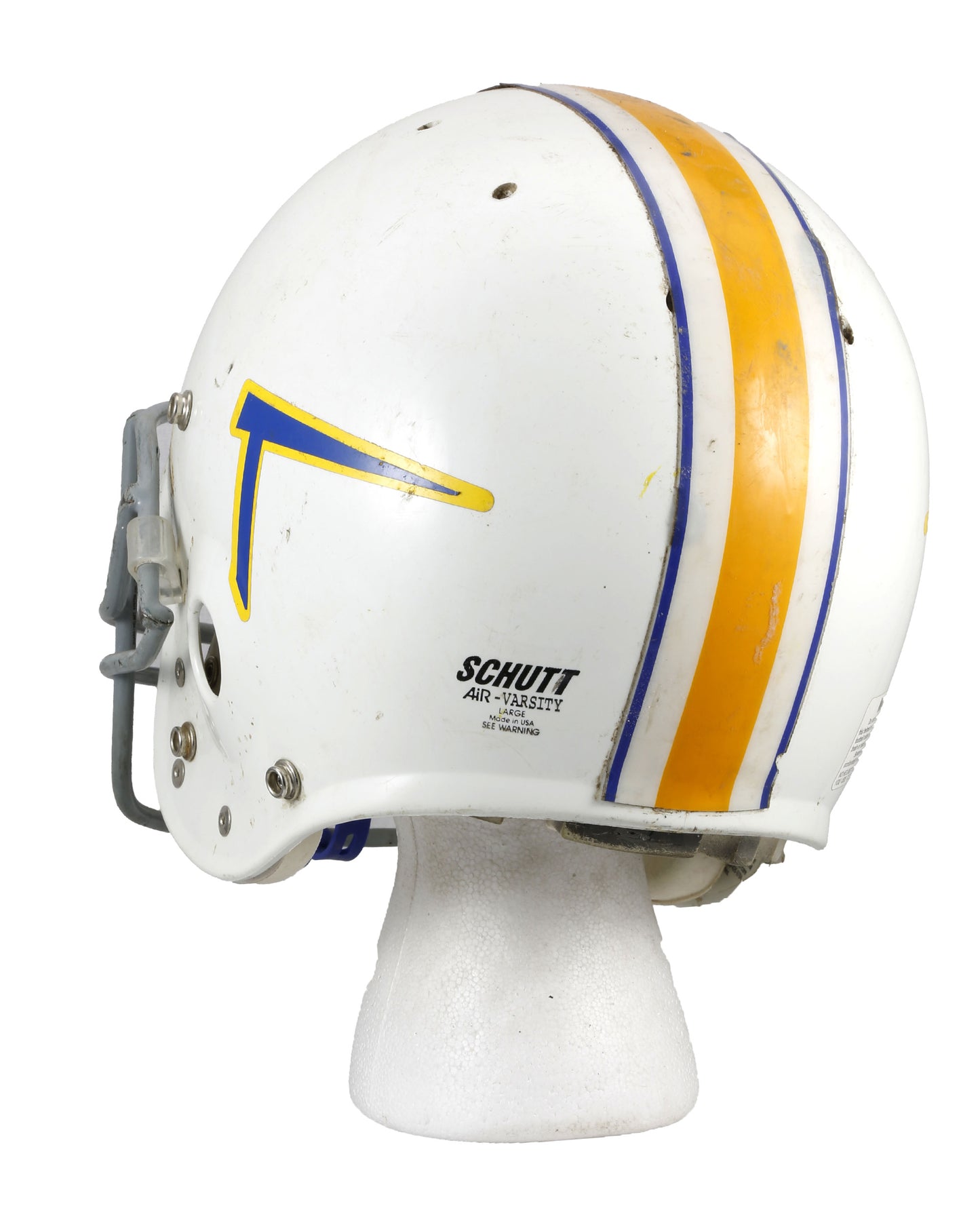 "Air Bud: Golden Receiver" Football Helmet