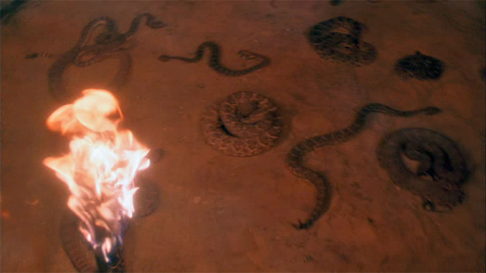 "Natural Born Killers" Prop Rattlesnake